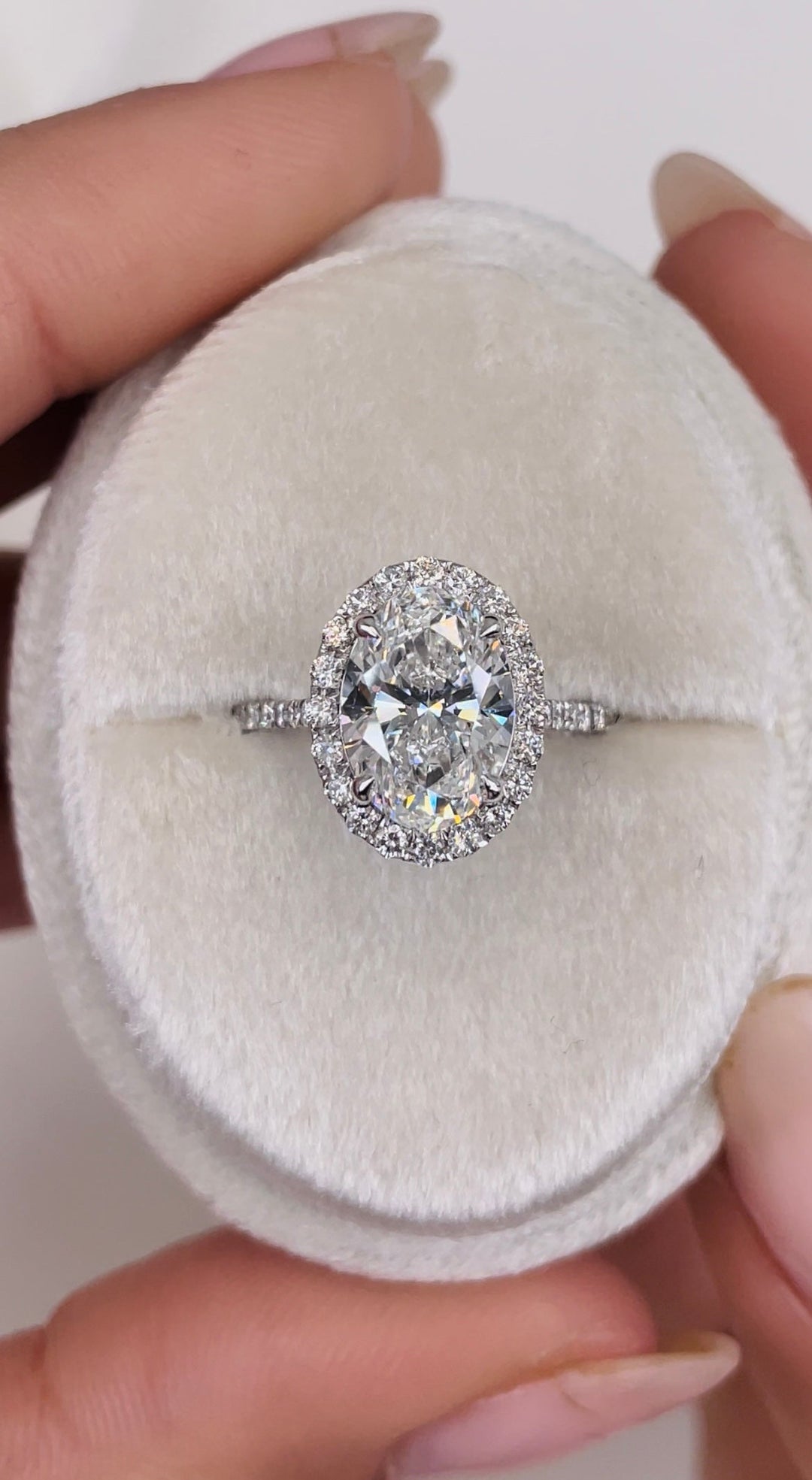 Oval pave diamond ring presented in signature gift packaging