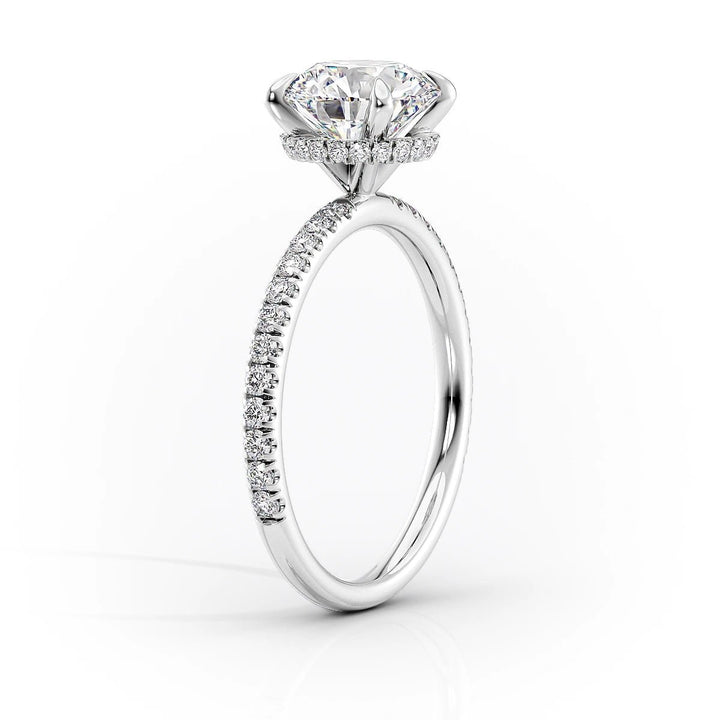 Round hidden halo engagement ring close-up showing F/VS1 diamond clarity
