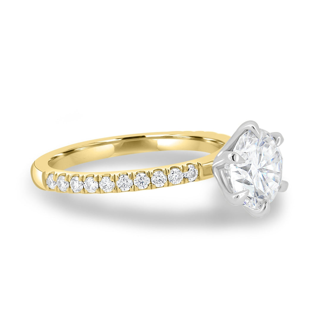 Round cut pave engagement ring shown in real-life wear